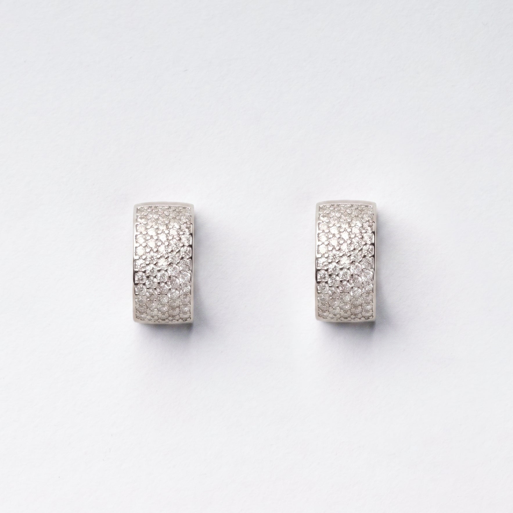 Diamond Crust Earrings