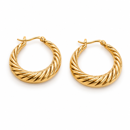 Gilded Hoops Earrings